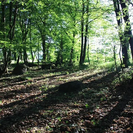 Landgasthof Lautenschlager Szálloda *