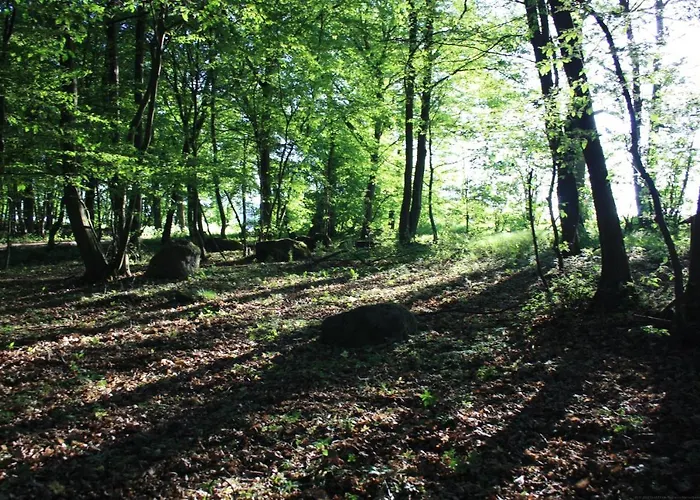 Landgasthof Lautenschlager Szálloda *